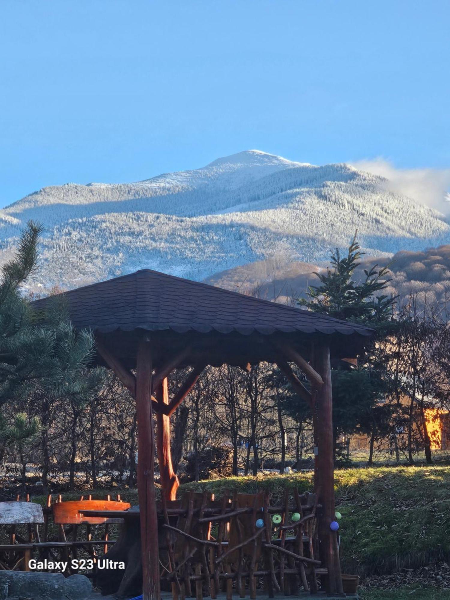 Casa De Vacanta Marin Arpaşu de Sus Exterior foto