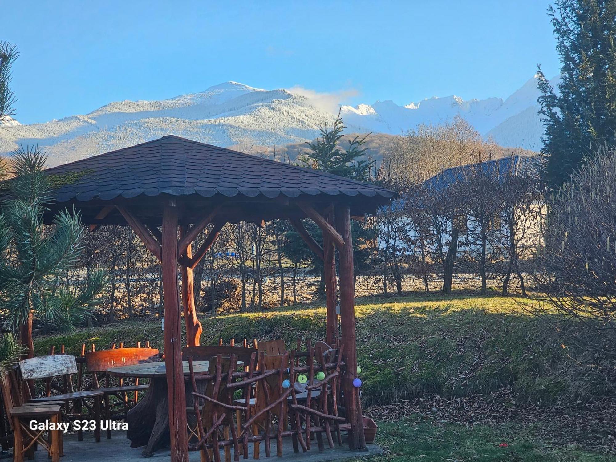 Casa De Vacanta Marin Arpaşu de Sus Exterior foto