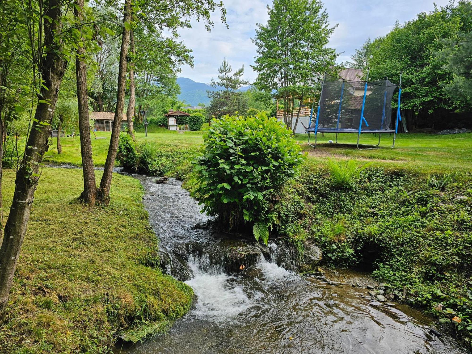 Casa De Vacanta Marin Arpaşu de Sus Exterior foto