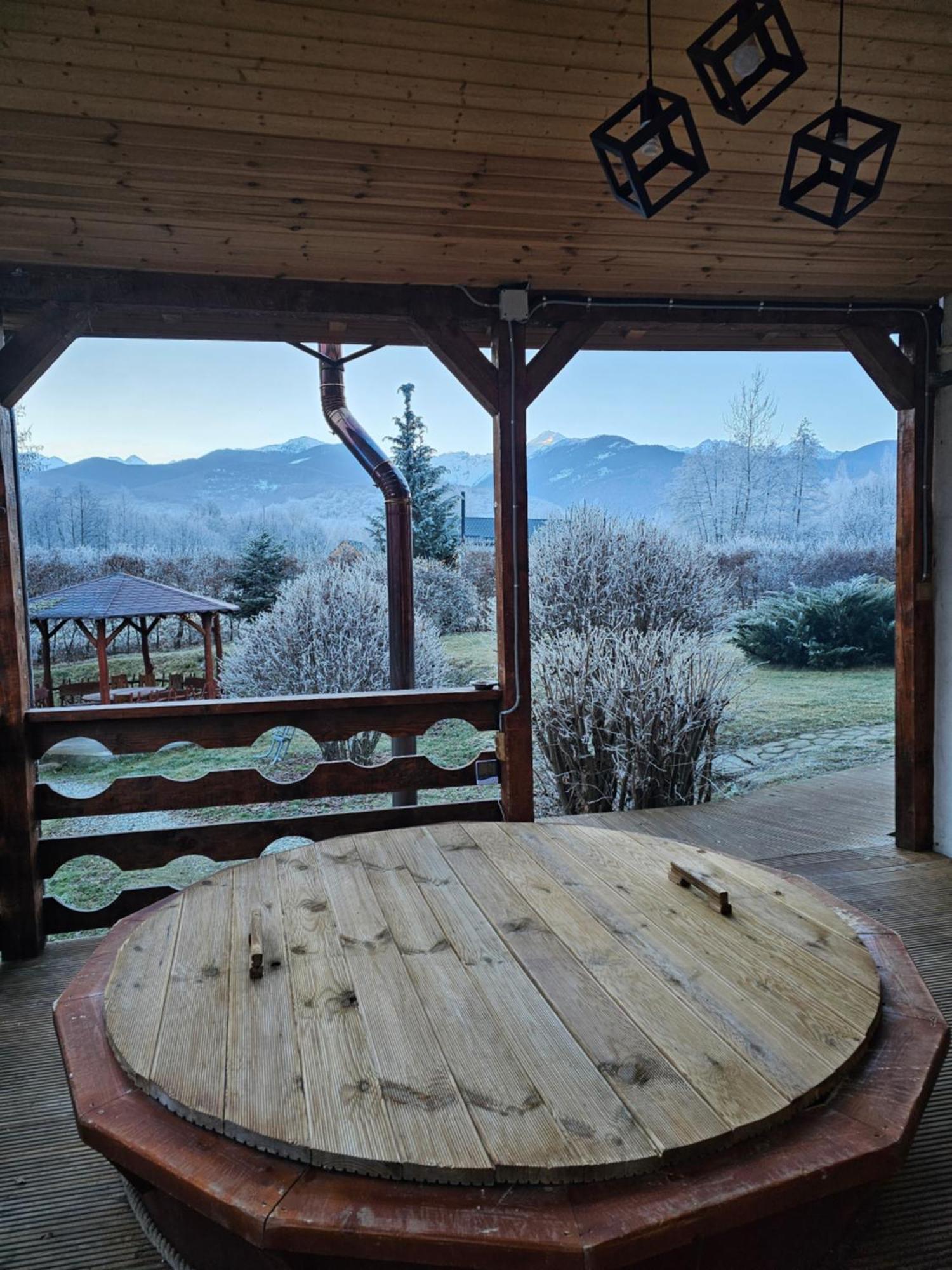 Casa De Vacanta Marin Arpaşu de Sus Exterior foto